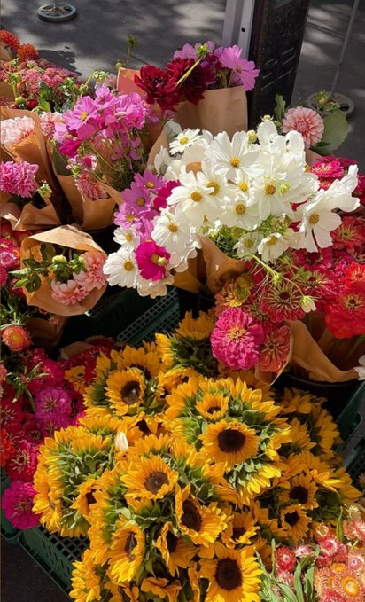 A vibrant display of flower bouquets at a market, prominently featuring yellow sunflowers, white cosmos, and bright pink zinnias.