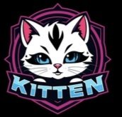 A cartoon white kitten with blue eyes sits inside a pink and black shield emblem with the word "KITTY" displayed in blue lettering, matching the KITTY COIN memecoin launch announcement.