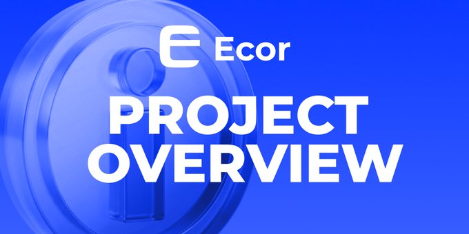 The image features a glossy blue background with an embossed "E" logo and the text "Ecor" alongside a large "PROJECT OVERVIEW" heading, serving as a bold title slide for a presentation about Ecor's multi-chain strategy spanning TON and Solana.