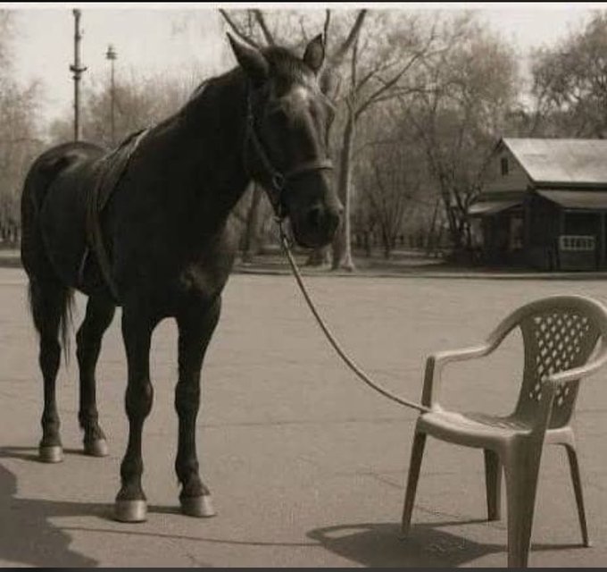 A black horse stands tied to a plastic patio chair in an empty park, creating an absurd, makeshift scene. The image evokes the post's theme of misplaced trust—a robust-looking setup (the bridle, tethered rope) connected to something flimsy and inappropriate (a plastic chair), mirroring how KelpDAO's verifiers accepted a "burn" that never actually locked the source funds, letting $292M slip through a hollow validation.