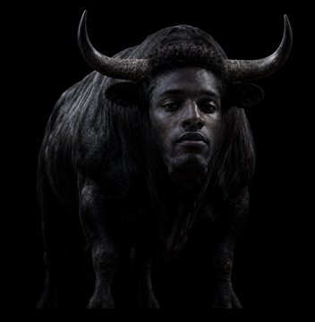 A dark, surreal composite image depicts a bull with a human face emerging from its body, set against a black background. The image visually represents the "Black Bull" referenced in the post, symbolizing the distribution of $ANSEM cryptocurrency "stimmies" to community members across multiple wallets.
