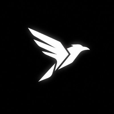 A stylized white logo of a bird with geometric, angular wings and tail, displayed on a black background.