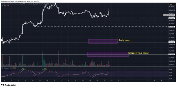 A TradingView chart of Bitcoin showing price action over time, with overlaid text reading 'bid y pussy' and 'mortgage your house' highlighting specific price levels.