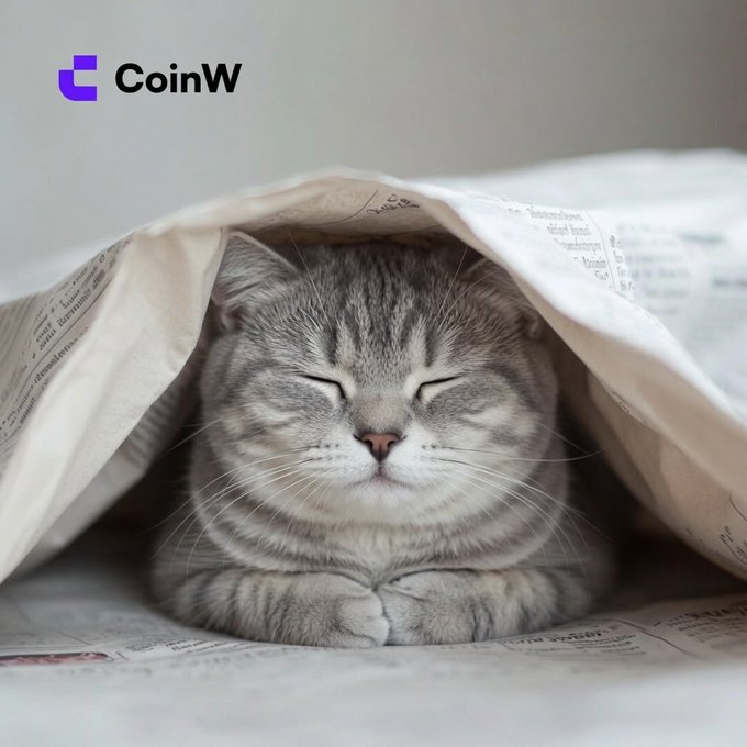 A stylized CoinW logo appears above a sleeping cat tucked under a blanket. This image likely depicts the feeling of relaxation after checking charts on CoinW.