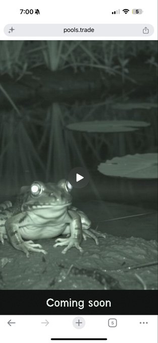 A mobile screenshot from pools.trade showing a night-vision video thumbnail of a frog in a pond, with 'Coming soon' displayed at the bottom.