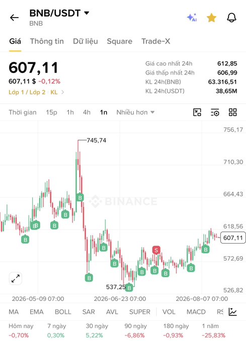 A screenshot from Binance showing the BNB/USDT trading pair at $607.11, down 0.12%, with a candlestick chart indicating price fluctuations between $537.25 and $745.74.