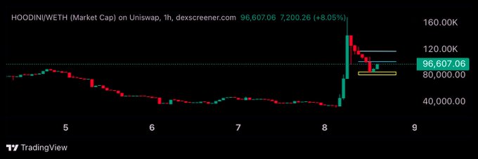 HOODIN/WETH market cap chart on Uniswap (1h timeframe) showing price at 96,607.06 with +8.05% change, displaying a similar sharp spike and pullback pattern with descending trendline and support levels.