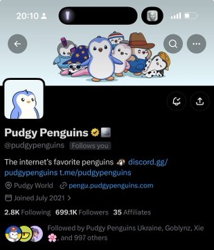 Twitter/X profile screenshot for Pudgy Penguins (@pudgypenguins), a verified NFT collection with 2.8K following and 699.1K followers, joined July 2021.