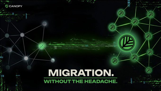 A digital promotional graphic with a dark green tech background, featuring a glowing network diagram and the text 'CANOPY' and 'MIGRATION. WITHOUT THE HEADACHE.'