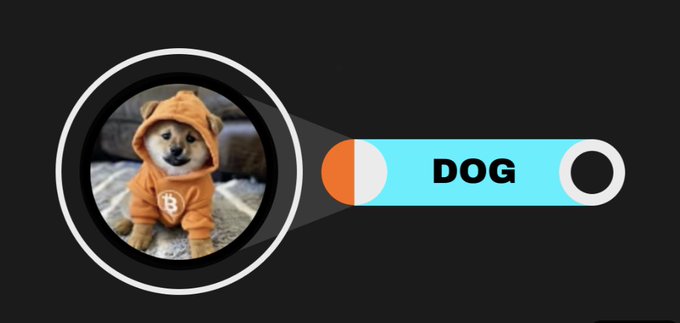 Meme-style graphic with a Shiba Inu dog wearing a Bitcoin hoodie, labeled 'DOG' in a cyan search bar.
