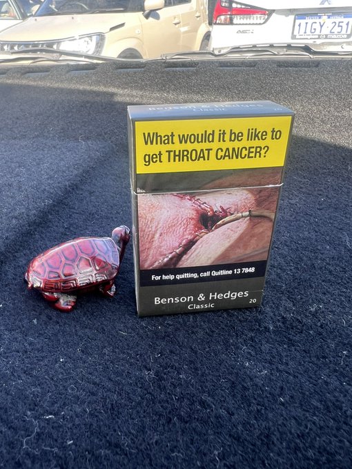 A $70 AUD pack of Benson & Hedges Classic cigarettes sits on a car floor next to a small red turtle figurine, featuring graphic health warnings that ask "What would it be like to get THROAT CANCER?" alongside a Quitline number. The shocking price tag illustrates the poster's frustration with Australia's high tobacco taxes, prompting their decision to quit smoking.