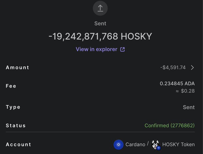 A cryptocurrency transaction confirmation showing a sent amount of -19,242,871,768 HOSKY tokens valued at -$4,591.74, with a confirmed status on the Cardano/HOSKY Token network.