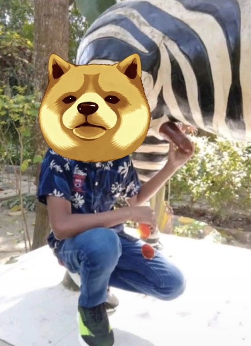 A person crouching outdoors with a Shiba Inu dog emoji covering their face, positioned in front of a large zebra statue while holding small objects.