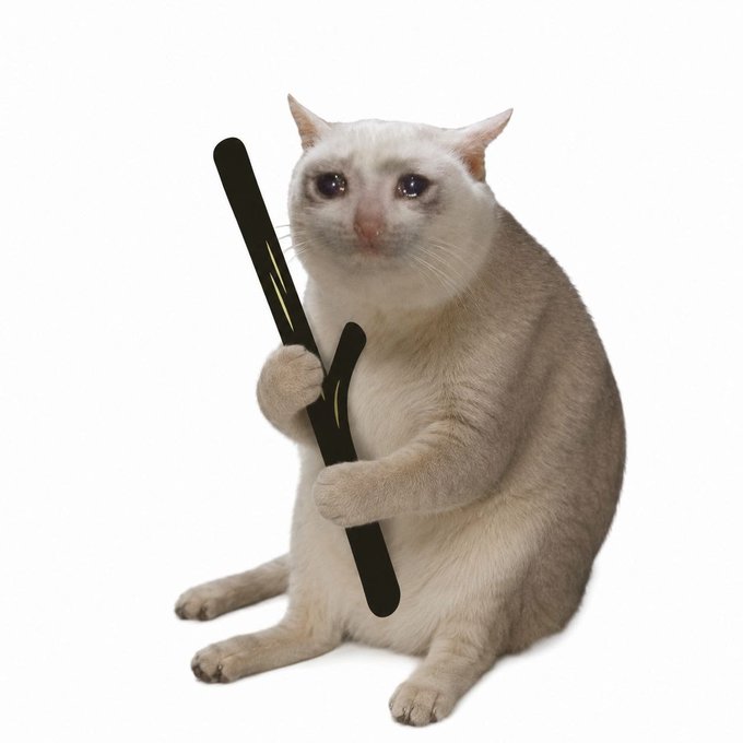 A cream-colored cat sits upright against a white background, holding a large black letter "K" in its paws. The image relates to the post's meme-style crypto promotion, using the cat as a visual mascot for $CASHCAT, with the "K" likely representing "kilo" or a multiplier in the bullish price-prediction narrative.