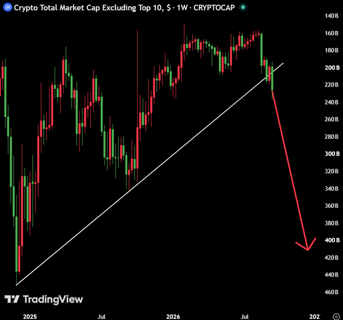 A TradingView weekly chart titled "Crypto Total Market Cap Excluding Top 10, $ · 1W · CRYPTOCAP" shows an ascending trendline (white) that has been broken, with a red arrow projecting a sharp decline from around the 140B-160B level down toward 400B+, illustrating the post's claim that altcoins are about to crash hard.