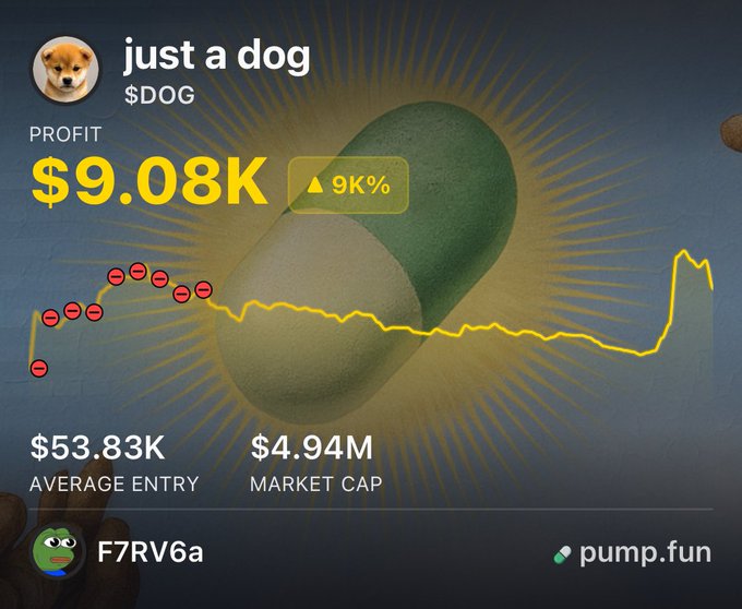The image is a pump.fun trading dashboard for the "just a dog" ($DOG) token, showing a profit of $9.08K (up 9K%) with a $4.94M market cap and $53.83K average entry, illustrating a trader's 82x return on a $110 investment. The yellow price chart and a Shiba Inu avatar reinforce the meme coin's branding, visually supporting the post's claim of massive gains.