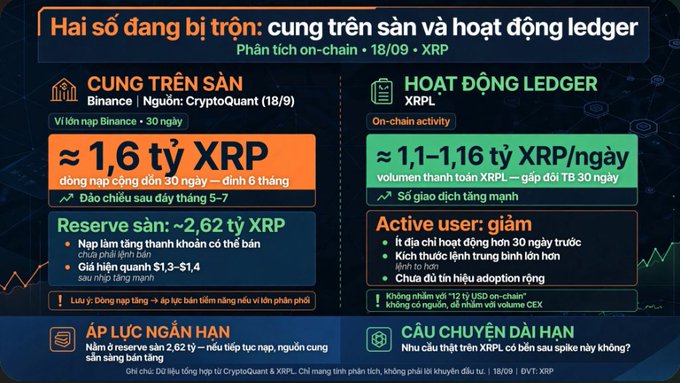 An infographic in Vietnamese titled 'Hai số đang bị trộn: cung trên sàn và hoạt động ledger' analyzing XRP on-chain data, mentioning figures like 1.6 tỷ XRP and reserves of ~2.62 tỷ XRP.