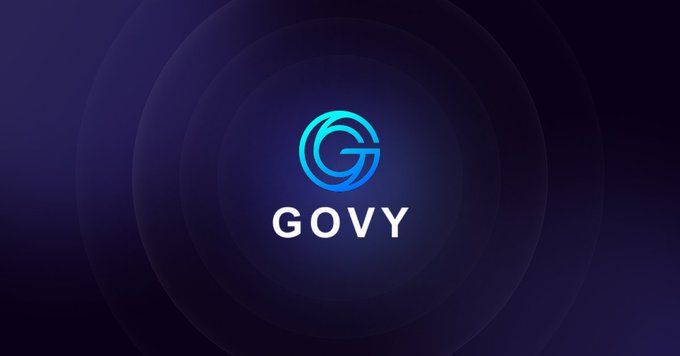 The image features a logo for a company named "GOVY", which stands out against a dark blue background with white lines radiating from its center, creating an effect similar to a starburst pattern. The text "GOVY" is prominently displayed in white letters within this design element. The post mentions that the company's name is "built on stellar" and that it is part of the "Stellar" community.