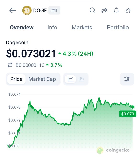 A screenshot of the CoinGecko mobile app showing the Dogecoin (DOGE) page with a price of $0.073021, up 4.3% in 24H, displaying a green price chart.