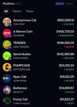 A cryptocurrency trading positions list showing tokens including Anonymous Cat ($652,958.12, +142.86%), A Meme Coin ($455,735.03, +109,068.84%), TENDIES, Send Nudes, PUMPCADE, Nyan Cat, Buttensor, and Pump.