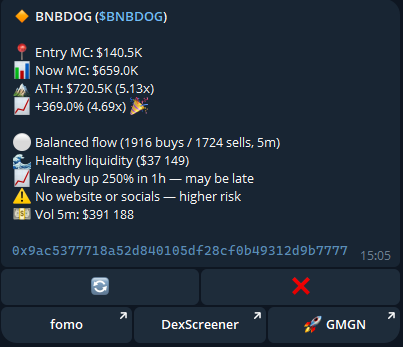A cryptocurrency tracking interface displays "$BNBDOG" token statistics, showing an entry market cap of $140.5K, current MC of $659.0K, and ATH of $720.5K (5.13x), along with metrics like "1916 buys / 1724 sells" and "Healthy liquidity ($37 149)." This dashboard illustrates the trader's success in catching $BNBDOG at 140k mcap, reflecting on their ongoing "trench journey" of memecoin trading.