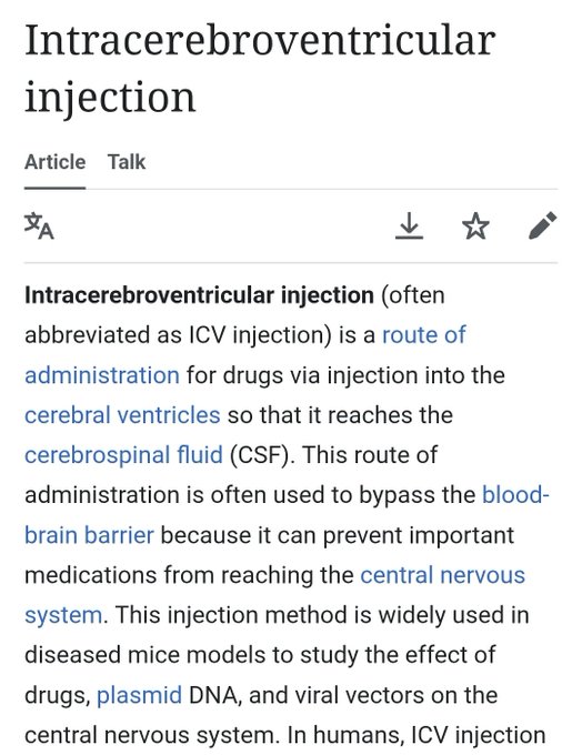 A screenshot of the Wikipedia article titled "Intracerebroventricular injection" (abbreviated ICV injection), describing the administration of drugs via injection into cerebral ventricles to bypass the blood-brain barrier. The post humorously references a "shitcoin" project that humorously uses this obscure medical term, with the article serving as the primary Google result (DEX) for the token.