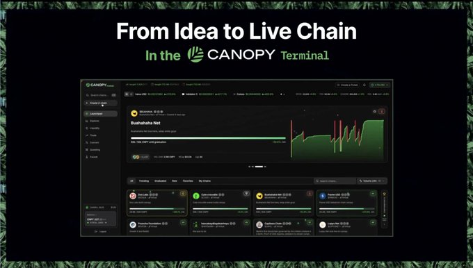 A webpage titled 'From Idea to Live Chain In the CANOPY Terminal' showing a dashboard interface with a 'Bubbahaha Net' token deployment status, a price chart with green and red candles, and various trending token listings.