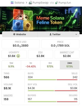 A screenshot of a cryptocurrency webpage showing details for the 'Meme Solana Feline Token', including a price of $0.0₆2880 and 24H change of 573%.