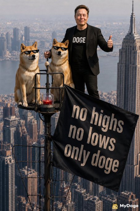 This image appears to be an AI-generated or edited composite featuring a man in a "DOGE" shirt giving a thumbs-up alongside two Shiba Inu dogs wearing pixelated sunglasses, positioned atop an antenna platform above a city skyline featuring the Empire State Building. The black banner reads "no highs no lows only doge," directly tying into the post's message about the $DOGE cryptocurrency and reflecting the meme culture surrounding it.