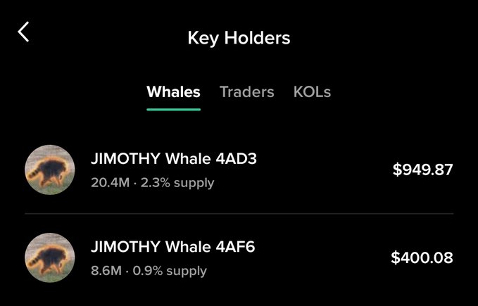 A 'Key Holders' app screen showing 'Whales' tab with two entries: 'JIMOTHY Whale 4AD3' holding 20.4M (2.3% supply) at $949.87, and 'JIMOTHY Whale 4AF6' holding 8.6M (0.9% supply) at $400.08.