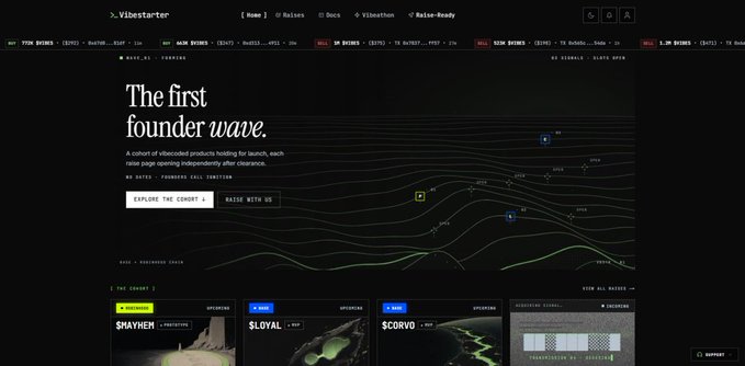 A dark-themed website screenshot for 'Vibestarter' with the tagline 'The first founder wave,' explaining its role in token launching, and showing a row of project cards at the bottom.