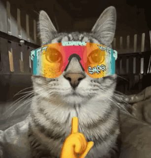 A humorous photo of a tabby cat wearing colorful orange and teal sunglasses, with a digitally added cartoon hand pointing upward at its face.