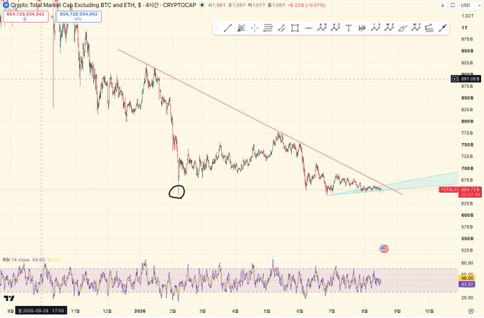 A cryptocurrency chart titled 'Crypto Total Market Cap Excluding BTC and ETH' showing a downward trend line on a 4-hour timeframe, with the RSI indicator at the bottom.