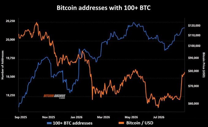 A line chart titled 'Bitcoin addresses with 100+ BTC' showing two lines from September 2025 to July 2026: the blue line tracking the number of addresses (peaking around 20,250) and the orange line tracking Bitcoin's price in USD (ranging from roughly $60,000 to $120,000), credited to Bitcoin Archive.