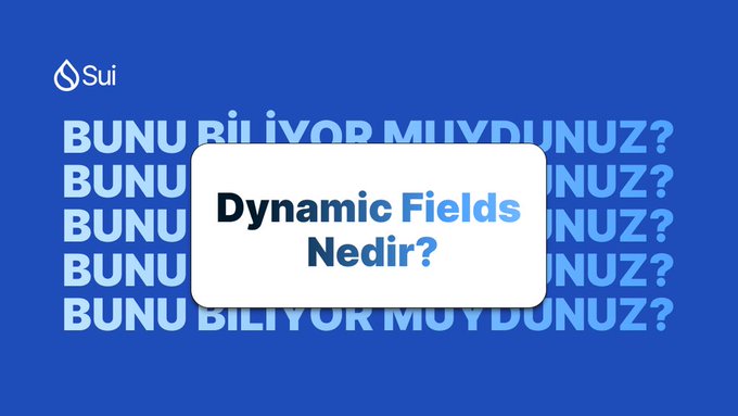 The image is a graphic from a Sui Glossary educational series featuring the Sui logo in the top left corner against a blue background with repeated "BUNU BİLİYOR MUYDUNUZ?" (Did you know?) text. A central white highlighted box displays "Dynamic Fields Nedir?" (What are Dynamic Fields?), introducing the concept that aligns with the post's explanation about how digital assets can continue to evolve after creation using Sui's Dynamic Fields feature.