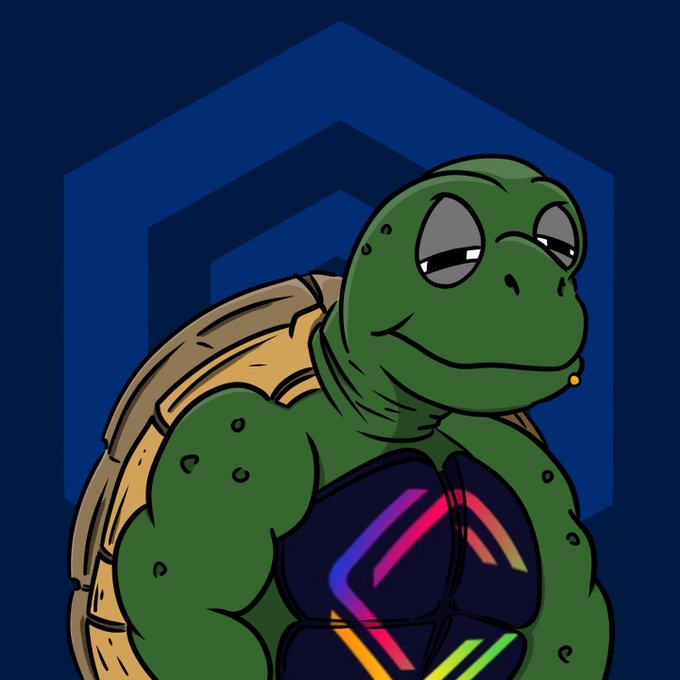 A digital illustration of a green turtle character resembling a meme, wearing a black tank top with a colorful rainbow geometric logo, set against a dark blue background with a hexagonal shape.