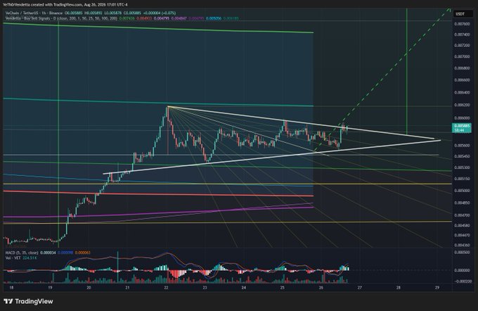 A TradingView cryptocurrency chart showing VeChain (VET/USDT) with technical analysis including a symmetrical triangle pattern, moving averages, and MACD indicator at the bottom.