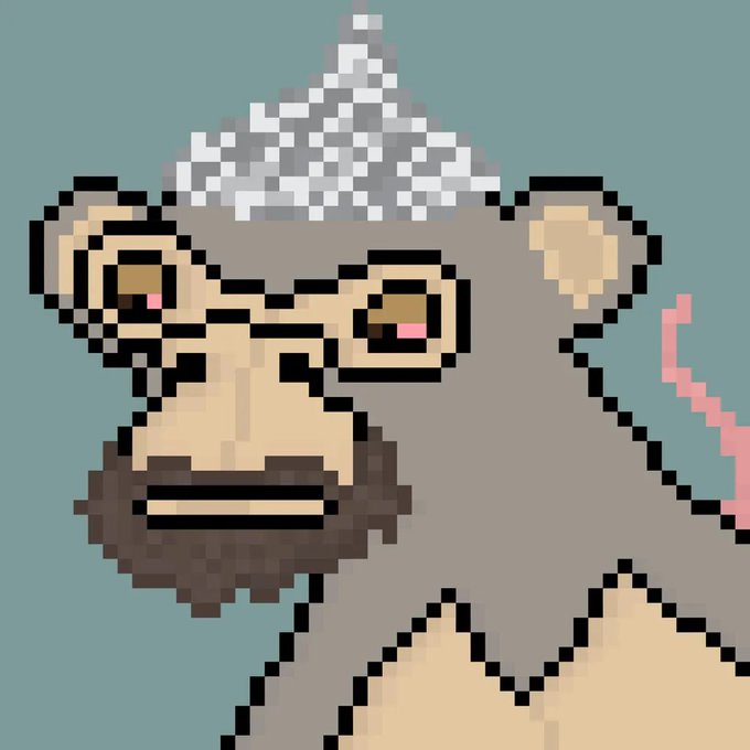 Pixel art image of a gray gorilla with a beard wearing a tin foil hat, looking unimpressed.