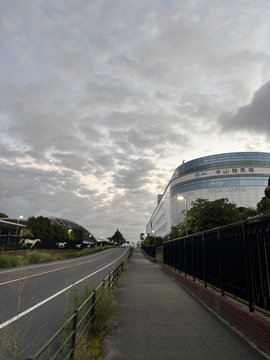 An early morning outdoor scene showing a paved walkway and road under a cloudy sky, with a modern curved building in the background.