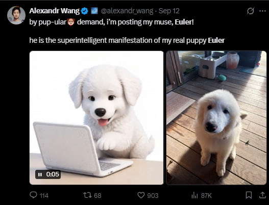 A tweet by Alexandr Wang (@alexandr_wang) dated Sep 12 announces his AI muse, Euler, comparing an AI-generated puppy to his real puppy Euler, with the tweet showing 87K views and 903 likes.