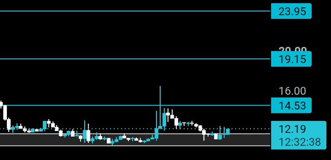 A candlestick chart displays $DCR trading in the $12-16 range with horizontal price levels marked at 12.19, 14.53, 19.15, and 23.95, showing the cryptocurrency bouncing off support and attempting a strong upward move. The current price action near 12.32:38 timestamp reflects the recent bounce from the lower support level mentioned in the analysis.