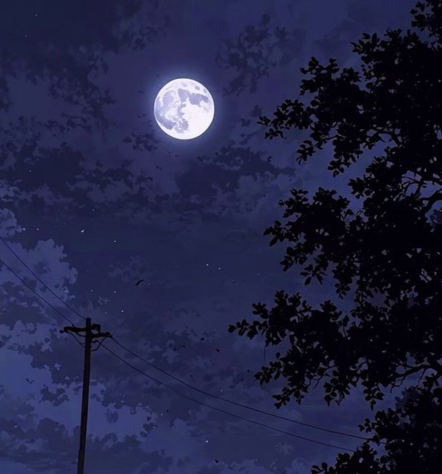 An illustrated nighttime scene featuring a full moon in a starry, cloudy sky, framed by silhouetted tree branches and power lines.