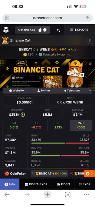 Mobile screenshot of the dexscreener.com page for 'Binance Cat' (BNBCAT/WBNB), showing a price of $0.005101, liquidity of $253K, FDV of $5.1M, and a 24H price increase of 400%.