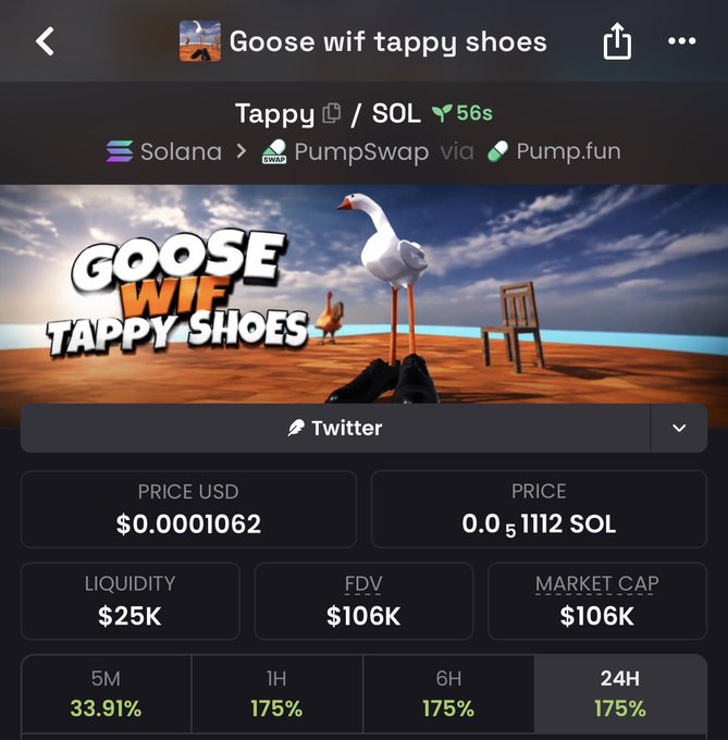 A cryptocurrency trading interface for 'Goose wif tappy shoes' token on the Solana network, showing 'Tappy/SOL' pair on PumpSwap via Pump.fun, with a price of $0.0001062, market cap of $106K, and 24H gain of 175%.