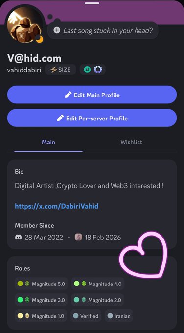 A profile page for 'V@hid.com' (username 'vahiddabiri') describing them as a 'Digital Artist, Crypto Lover and Web3 interested!' with a Discord link.