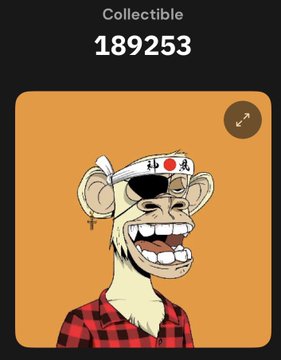 A digital collectible NFT (Collectible 189253) featuring a cartoon monkey wearing a Japanese hachimaki headband with a red circle and plaid shirt on an orange background.