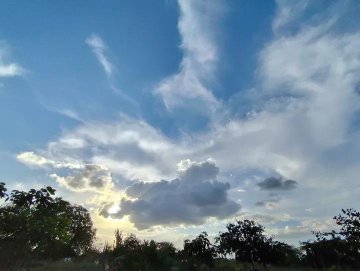 A serene morning sky filled with wispy clouds over a tree line, capturing the peaceful start to a day. The image reflects the calm before diving into exploring the Base ecosystem, matching the post's "good morning" greeting and inviting moment of reflection.