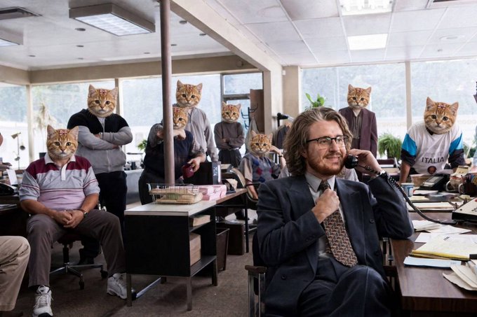 An office scene where a man in a suit talks on a phone while several coworkers sit and stand around him, all with cat heads photoshopped onto their bodies.