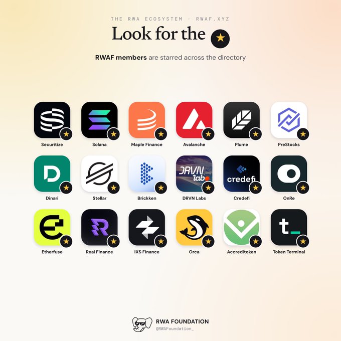 Infographic titled 'Look for the ⭐' showing 'THE RWA ECOSYSTEM' with various company logos including Securitize, Solana, Maple Finance, Avalanche, and others, branded by 'RWA FOUNDATION'.