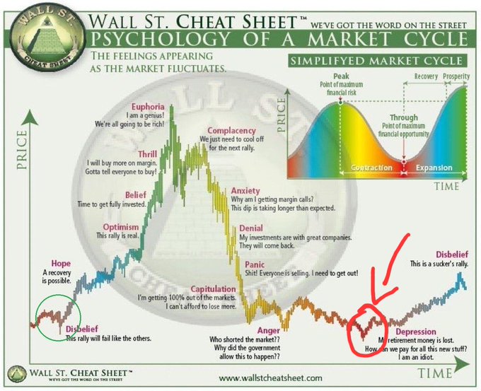 The 'Wall St. Cheat Sheet - Psychology of a Market Cycle' chart depicting emotional stages from Hope and Disbelief through Euphoria, Denial, Depression, and back to Hope, with a red arrow circled around the Depression phase.